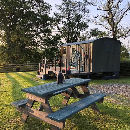 The Peacock Shepherds Hut At Hafoty Boeth 코웬 외부 사진