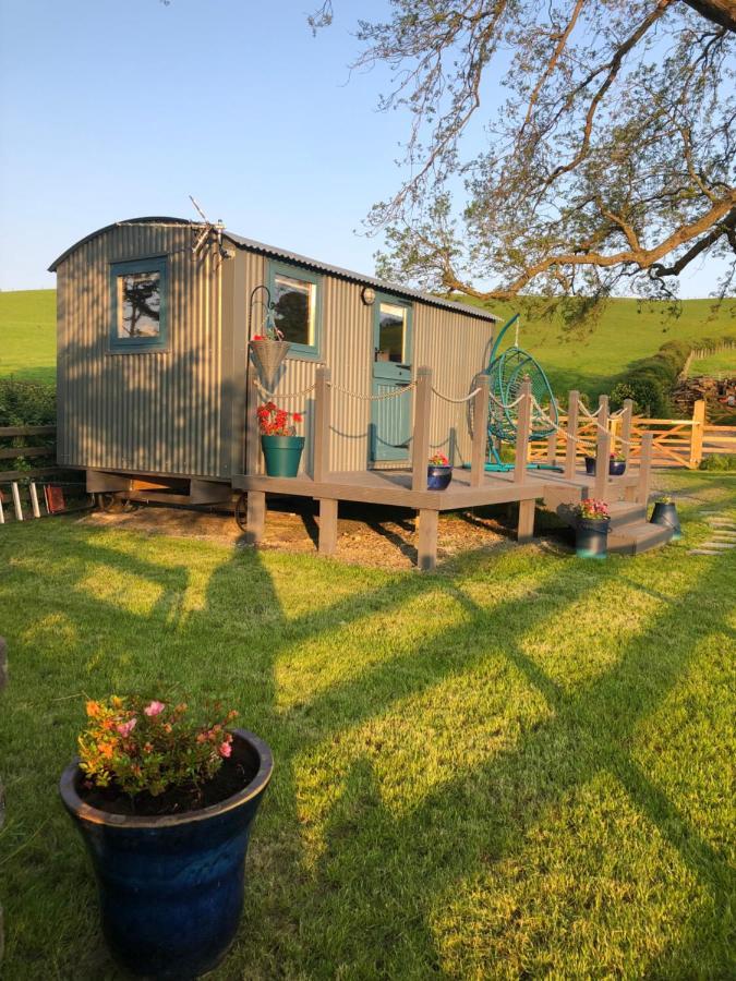 The Peacock Shepherds Hut At Hafoty Boeth 코웬 외부 사진