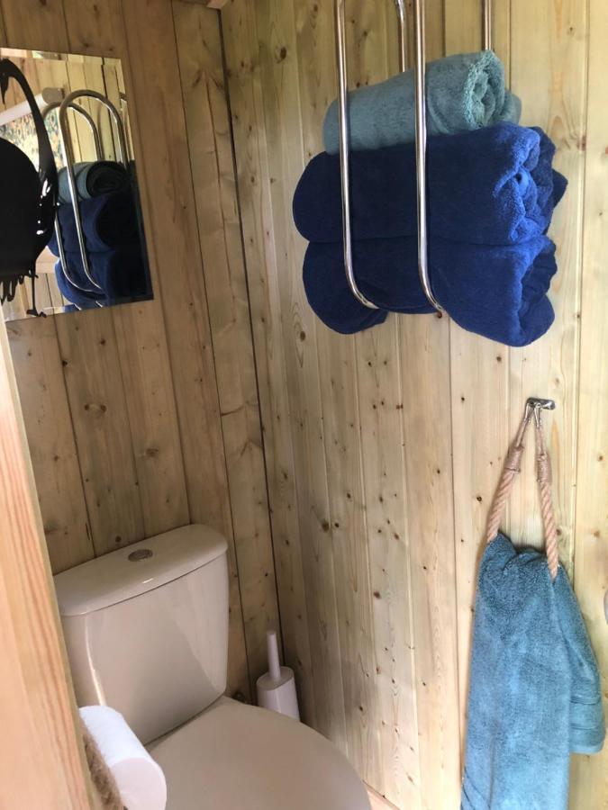 The Peacock Shepherds Hut At Hafoty Boeth 코웬 외부 사진