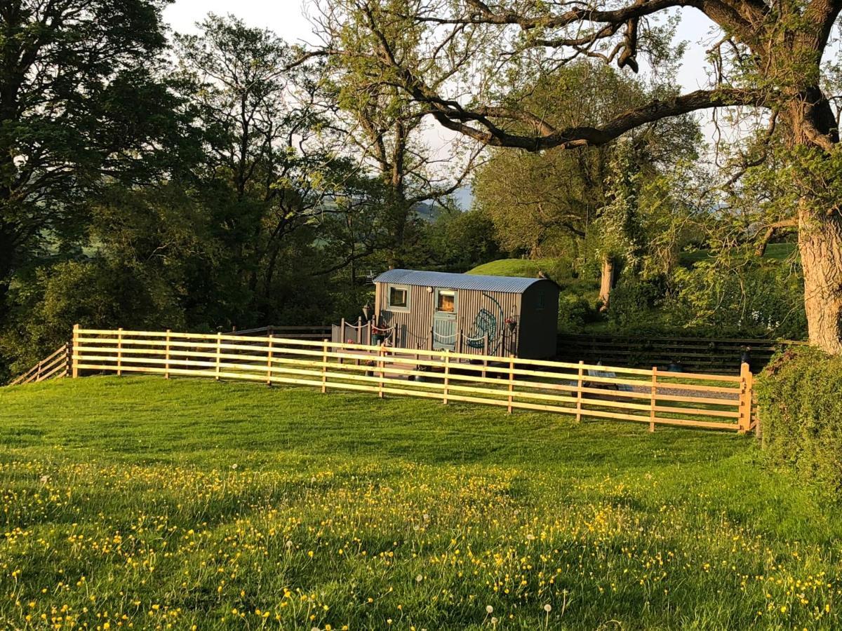 The Peacock Shepherds Hut At Hafoty Boeth 코웬 외부 사진
