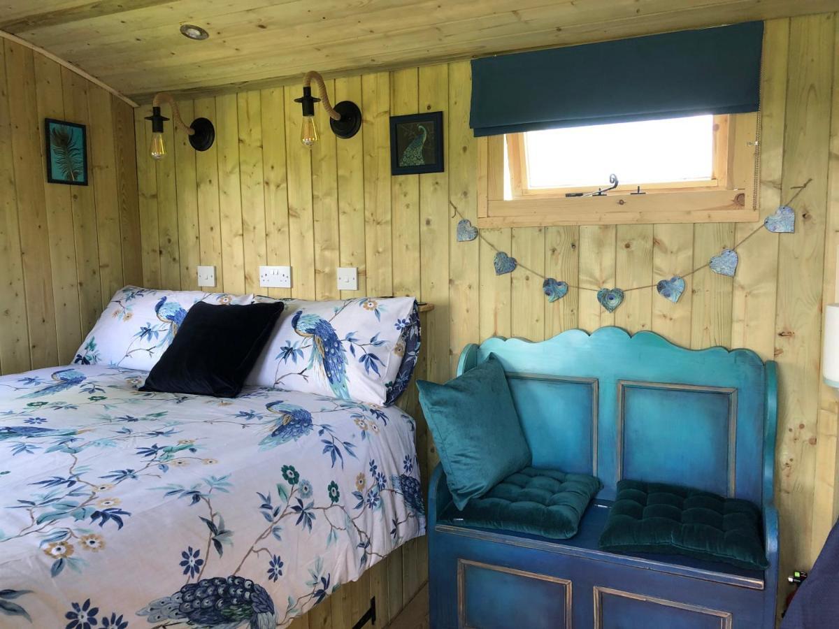 The Peacock Shepherds Hut At Hafoty Boeth 코웬 외부 사진