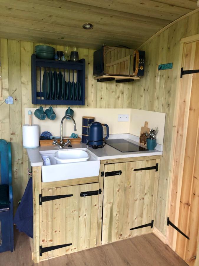 The Peacock Shepherds Hut At Hafoty Boeth 코웬 외부 사진