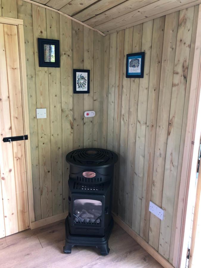 The Peacock Shepherds Hut At Hafoty Boeth 코웬 외부 사진